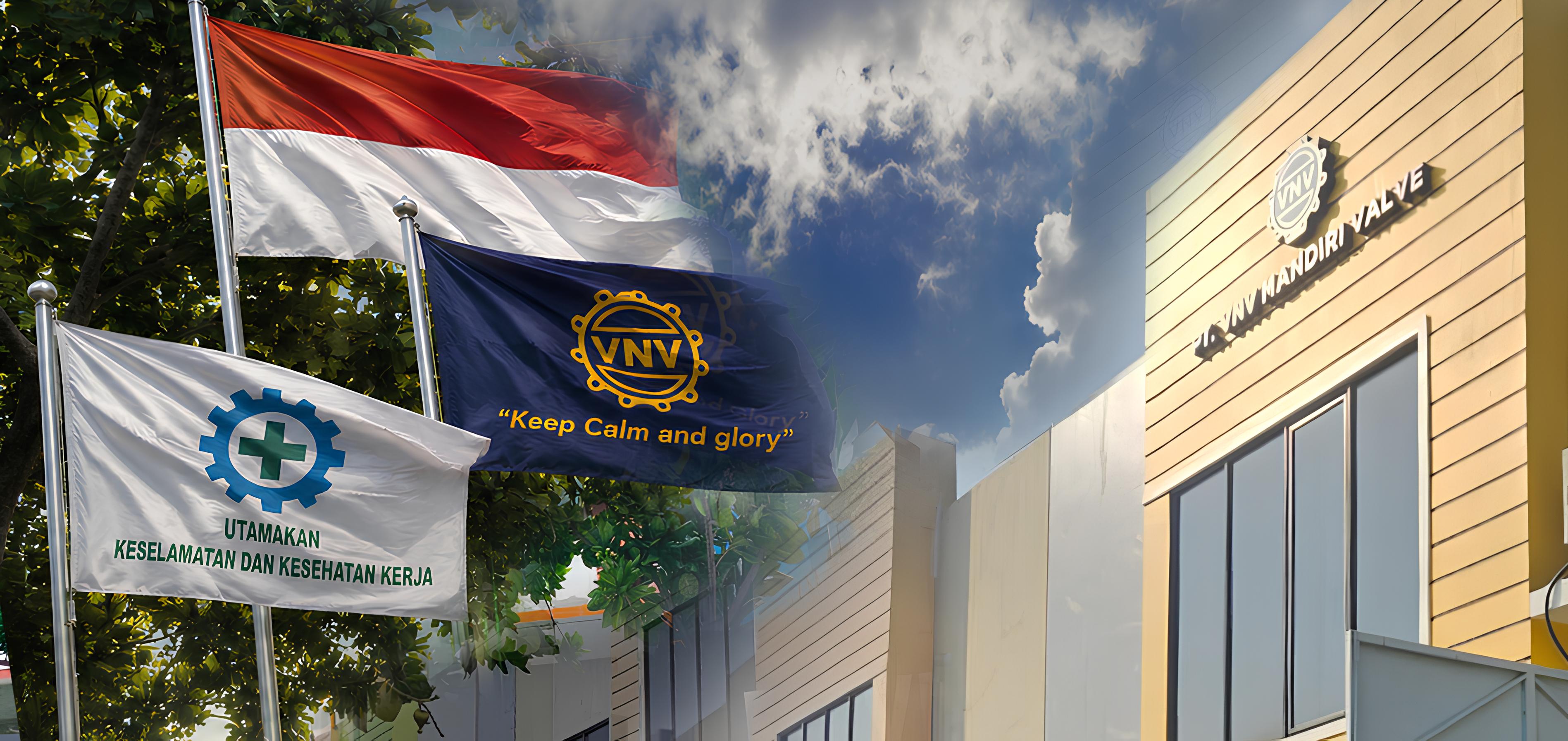 VNV